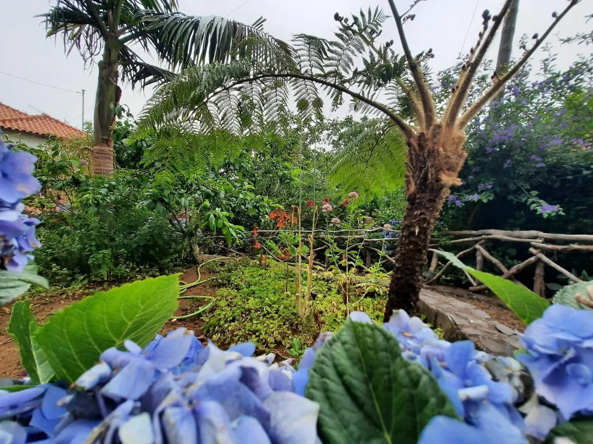 Villa Casa Rosa Camacha  Camacha (Madeira)
